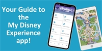 Understanding the many features of the My Disney Experience app Understanding the many features of the My Disney Experience app