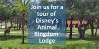 Join us for a tour of Disney's Animal Kingdom Lodge Join us for a tour of Disney's Animal Kingdom Lodge
