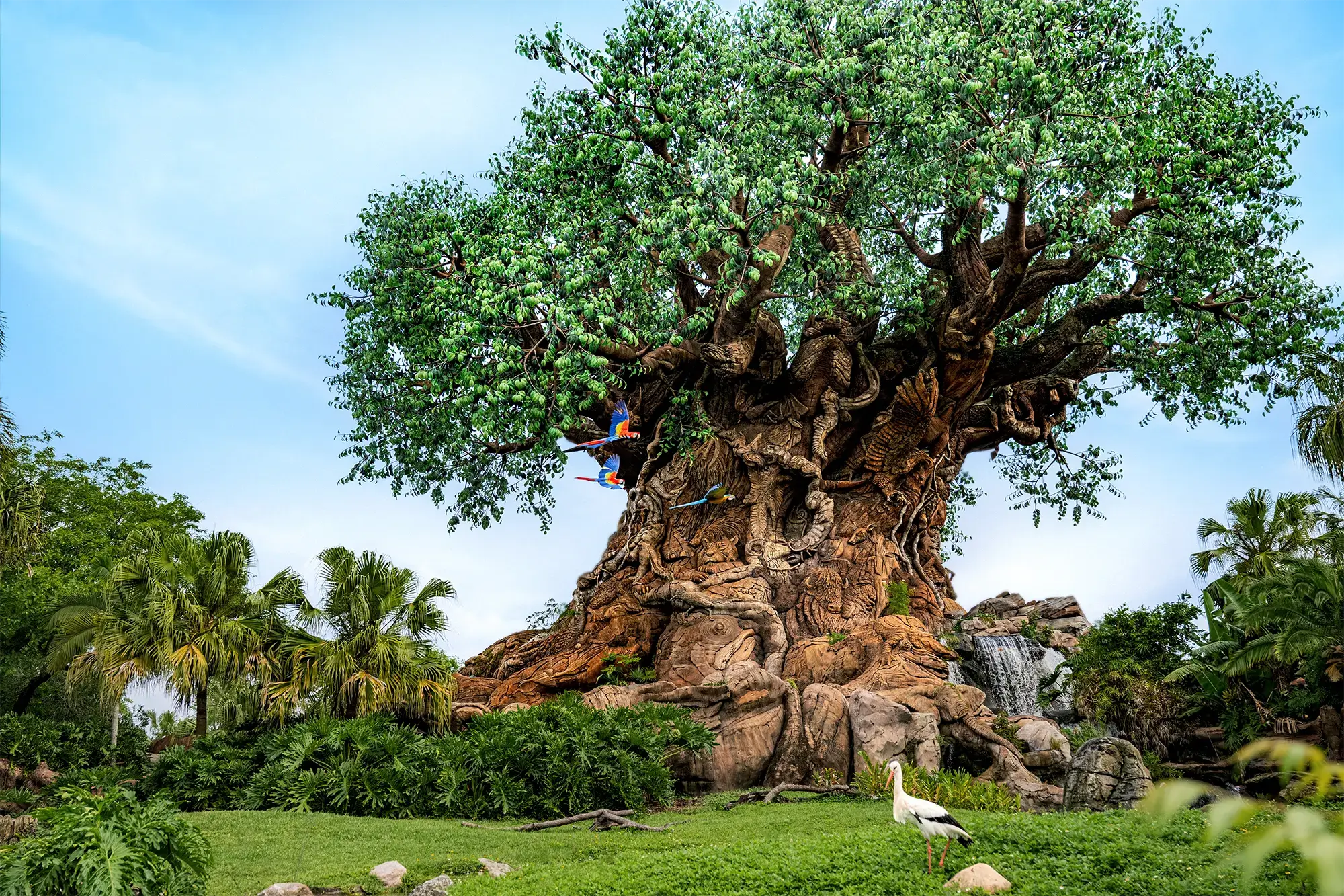 Animal Kingdom Theme Park