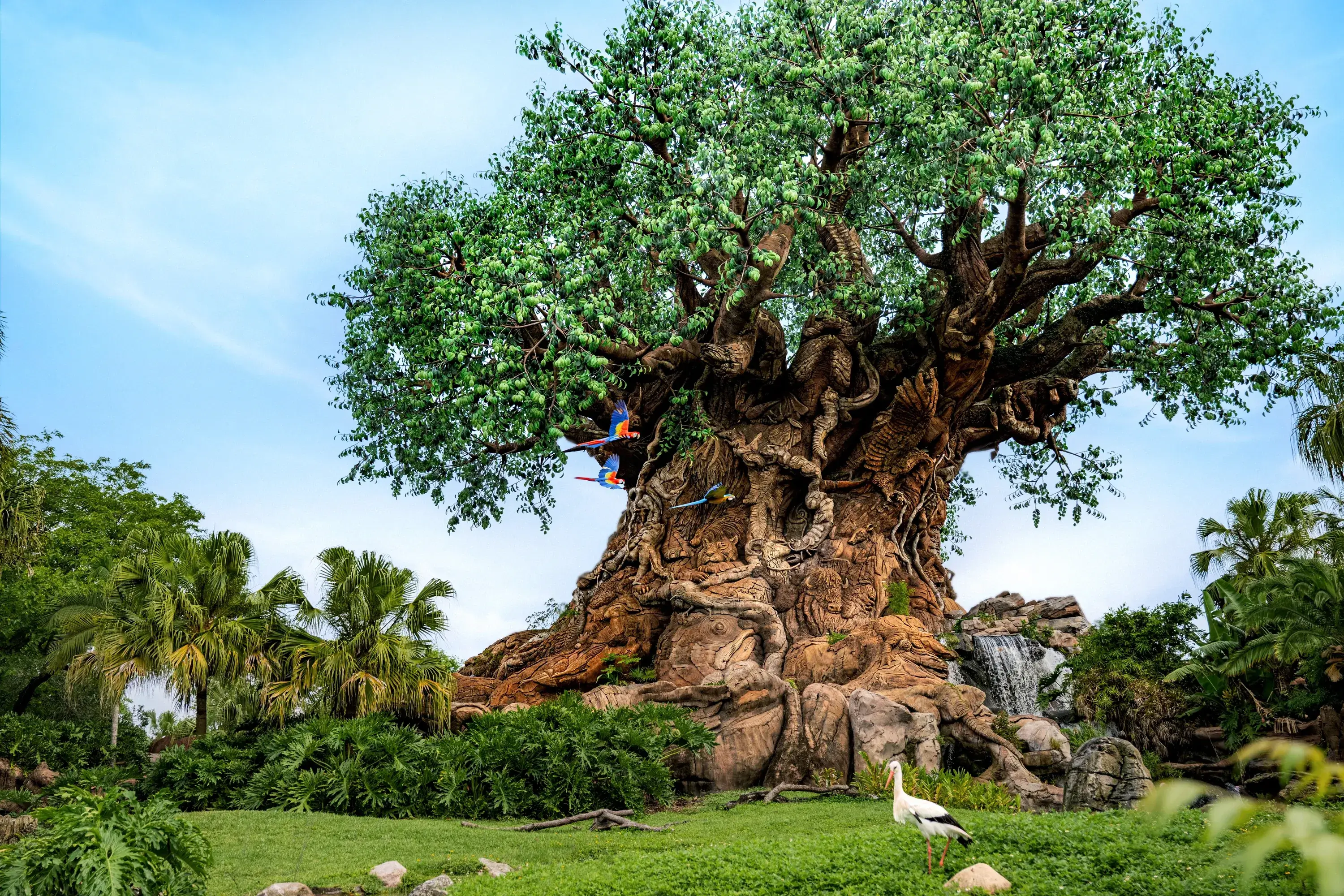 Animal Kingdom Theme Park