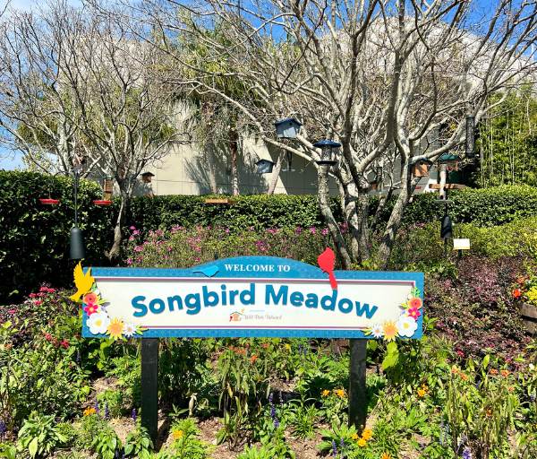 SongbirdMeadow